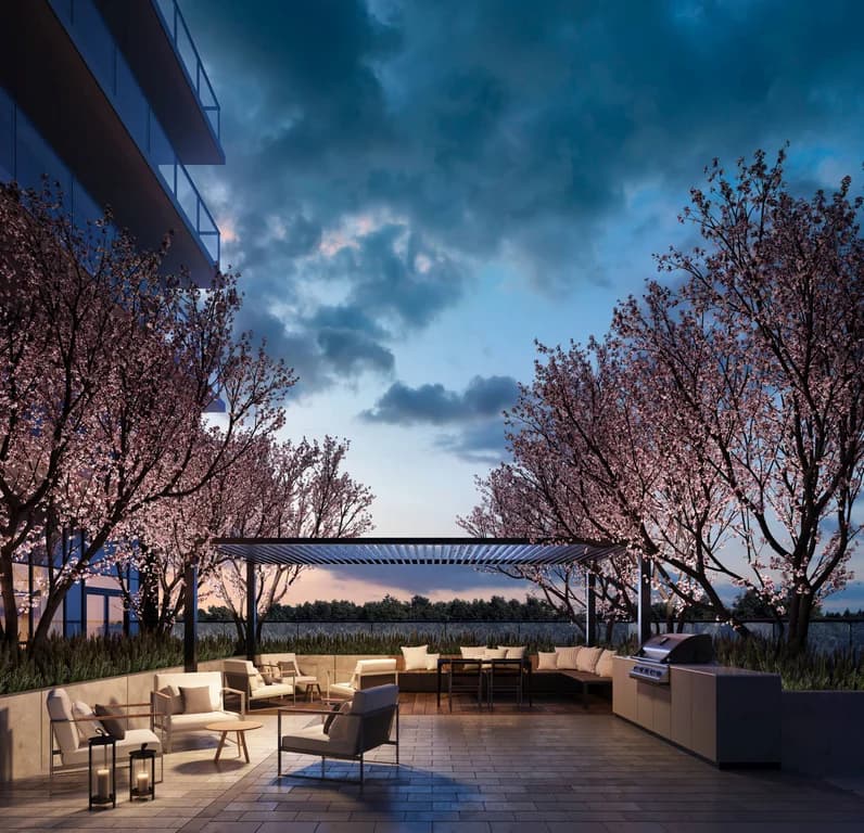 BBQ Terrace