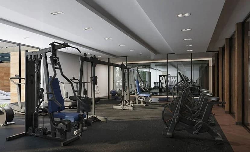 fitness