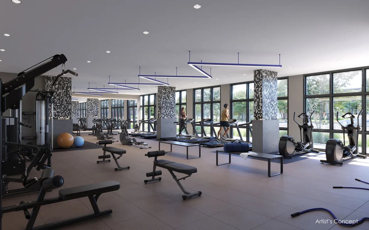 Gym