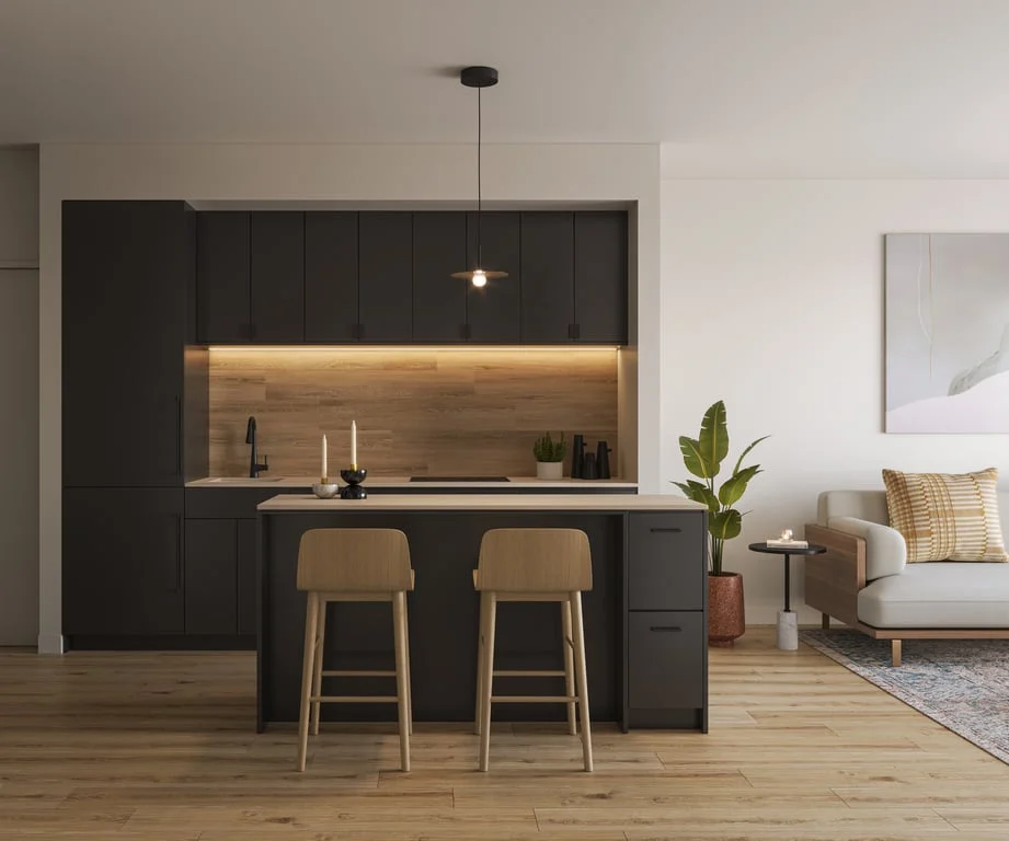 Dark Scheme Kitchen