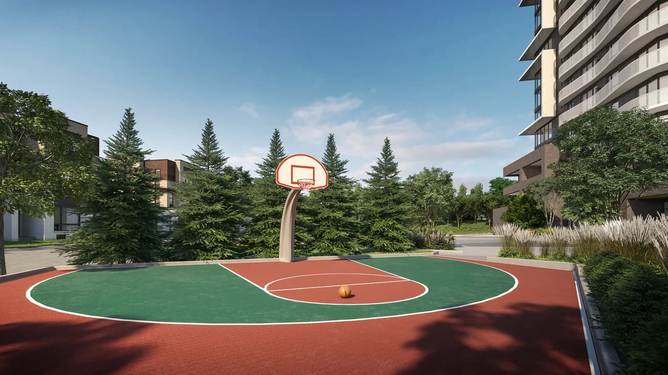 Basketball